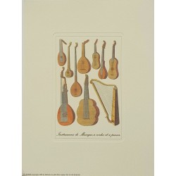 Image"Lutherie, Instruments à cordes et pinces"