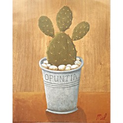 Image "Opuntia cactus "M. Gordon