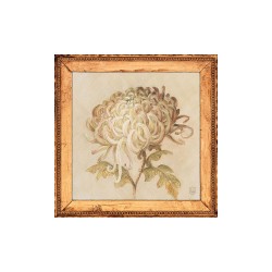 Carte simple "Chrysanthemum...