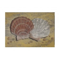 Carte postale "Scallop Shells" martin Wiscombe