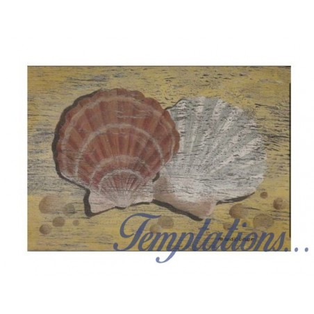Carte postale "Scallop Shells" martin Wiscombe