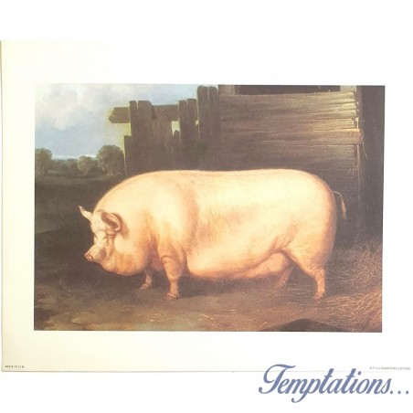 Image" Cochon rustique"