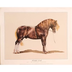 Image Cheval "Welsh Cob" Robert Ford