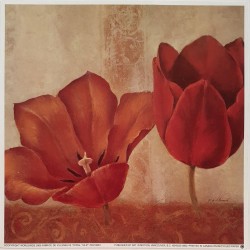 Image "Coral Tulip"Fabrice de Villeneuve