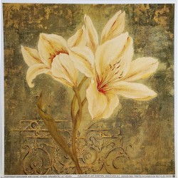 Image " Ornamental lily"...