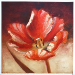 Image carrée " Daybreak Tulip " Paulo Romero
