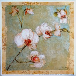 Image "Garden of damask orchids" Matina Theodosiou