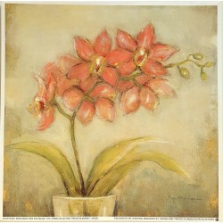 Image carrée "Orchid Blossom I" Eva Kolacz