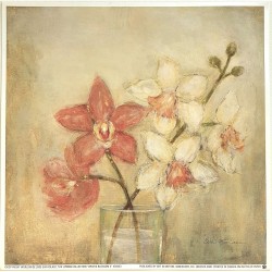 Image carrée "Orchid Blossom II" Eva Kolacz