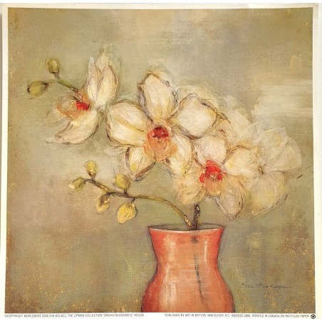 Image carrée "Orchid Blossom IV" Eva Kolacz