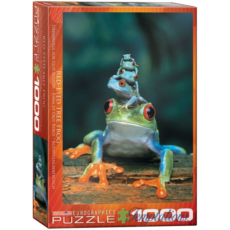 Puzzle 1000 pièces Grenouilles aux Yeux Rouges
