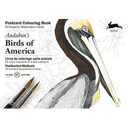 Carnet de cartes postal aquarelle  Birds of America