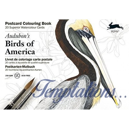 Carnet de cartes postal aquarelle  Birds of America