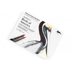 Carnet de cartes postal aquarelle  Birds of America