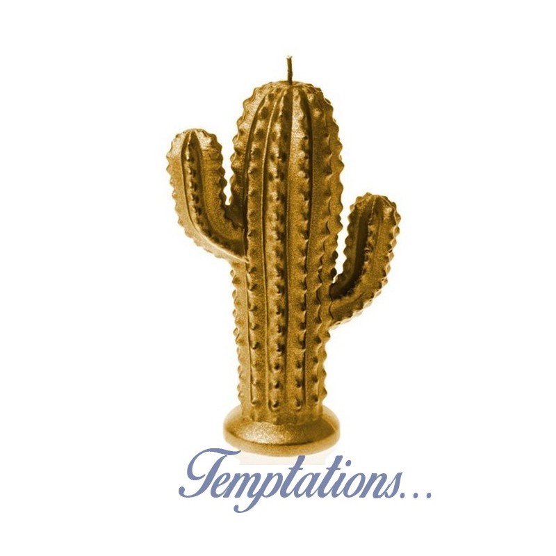 Bougie Cactus Or Candellana