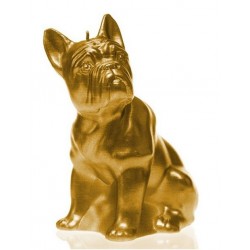Bougie Bulldog gold Candellana