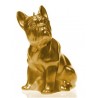 Bougie Bulldog gold Candellana