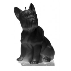 Bougie Bulldog noir mat  Candellana