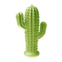 Bougie Cactus Vert lime...