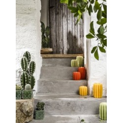 Photophore cactus capucine avec recharge parfumée