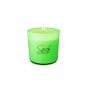 Bougie Sens Collection Edition FLUO VERT