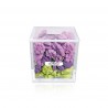 Cube crystal les bouquets violette Canasuc
