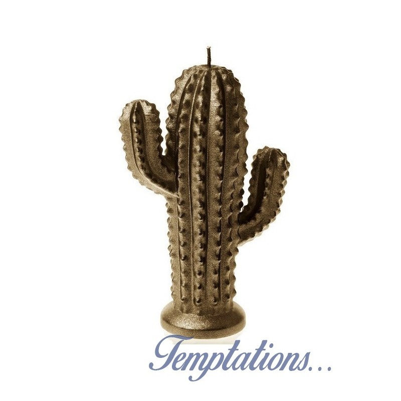 Bougie cactus Brass Candellana