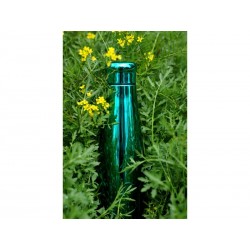 Bouteille isotherme  Vert Chrome