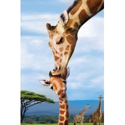 Puzzle 250 pièces Girafes - Eurographics