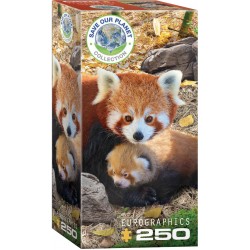 Puzzle 250 pièces Pandas rouges - Eurographics