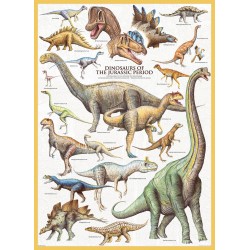 Puzzle 1000 pièces- Dinosaures de la période jurassique - Eurographics